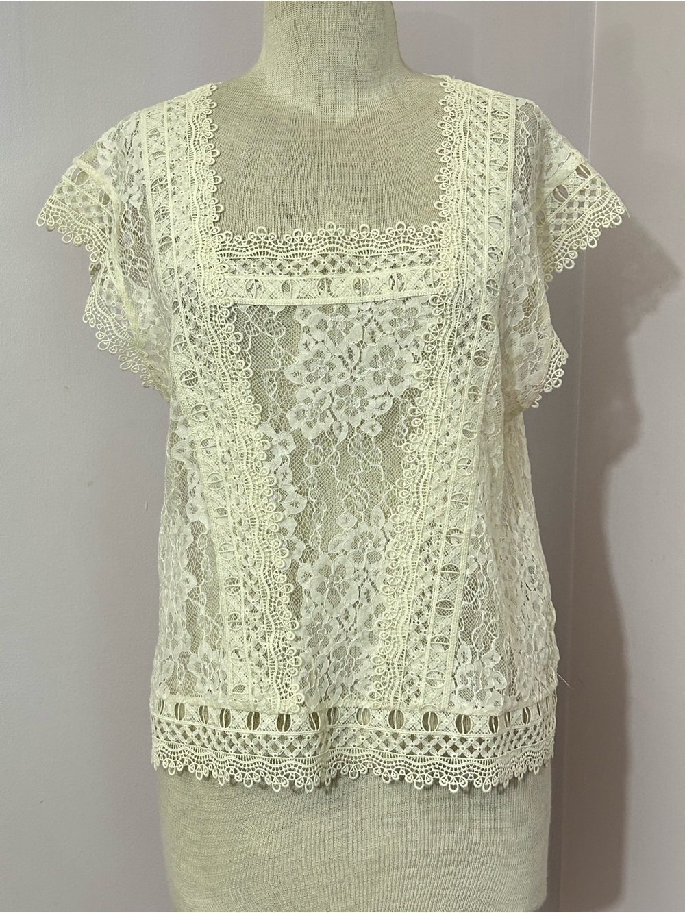 Zara Sheer Ivory Lace Top M